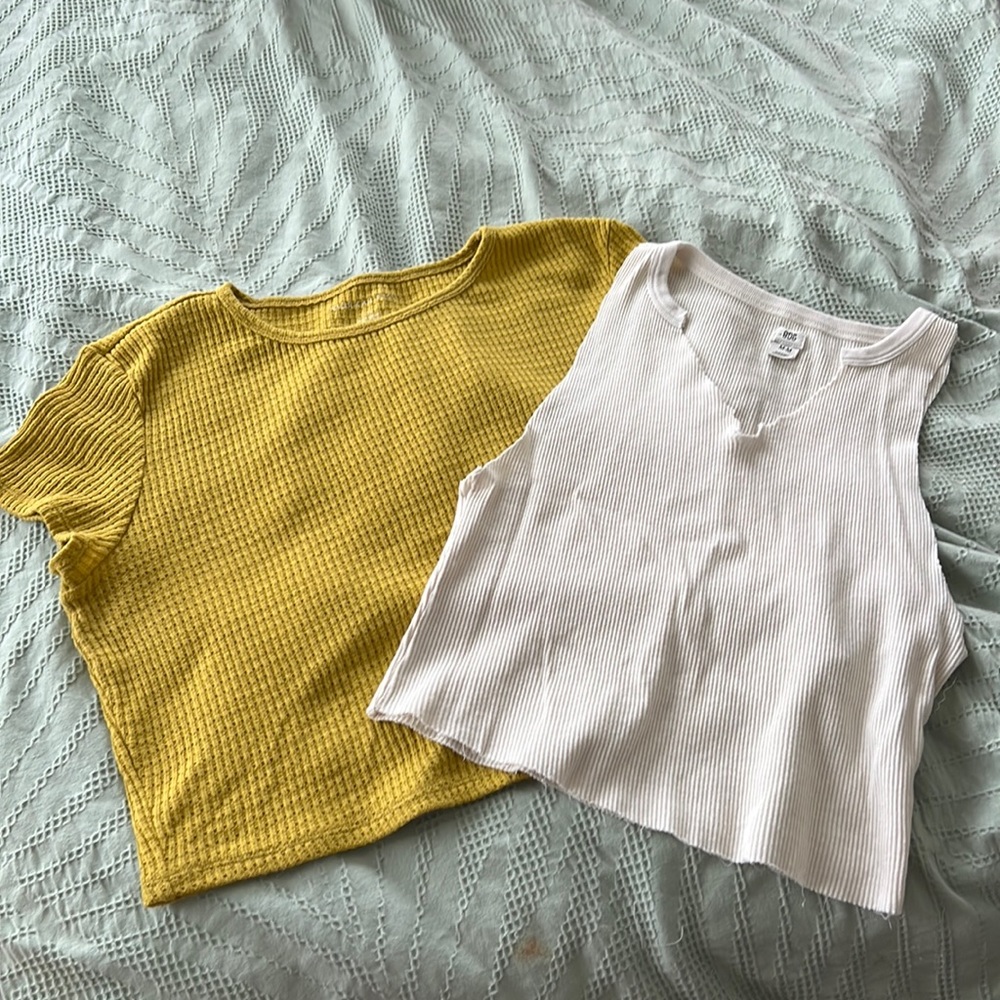BDG and American Eagle Crop Bundle!